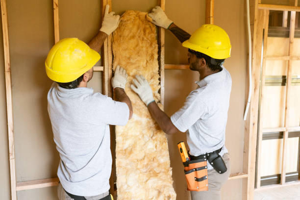 Professional Insulation in Denver, IA